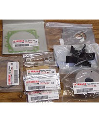 Yamaha 6G5-W0078-A1-00 Impeller Kit